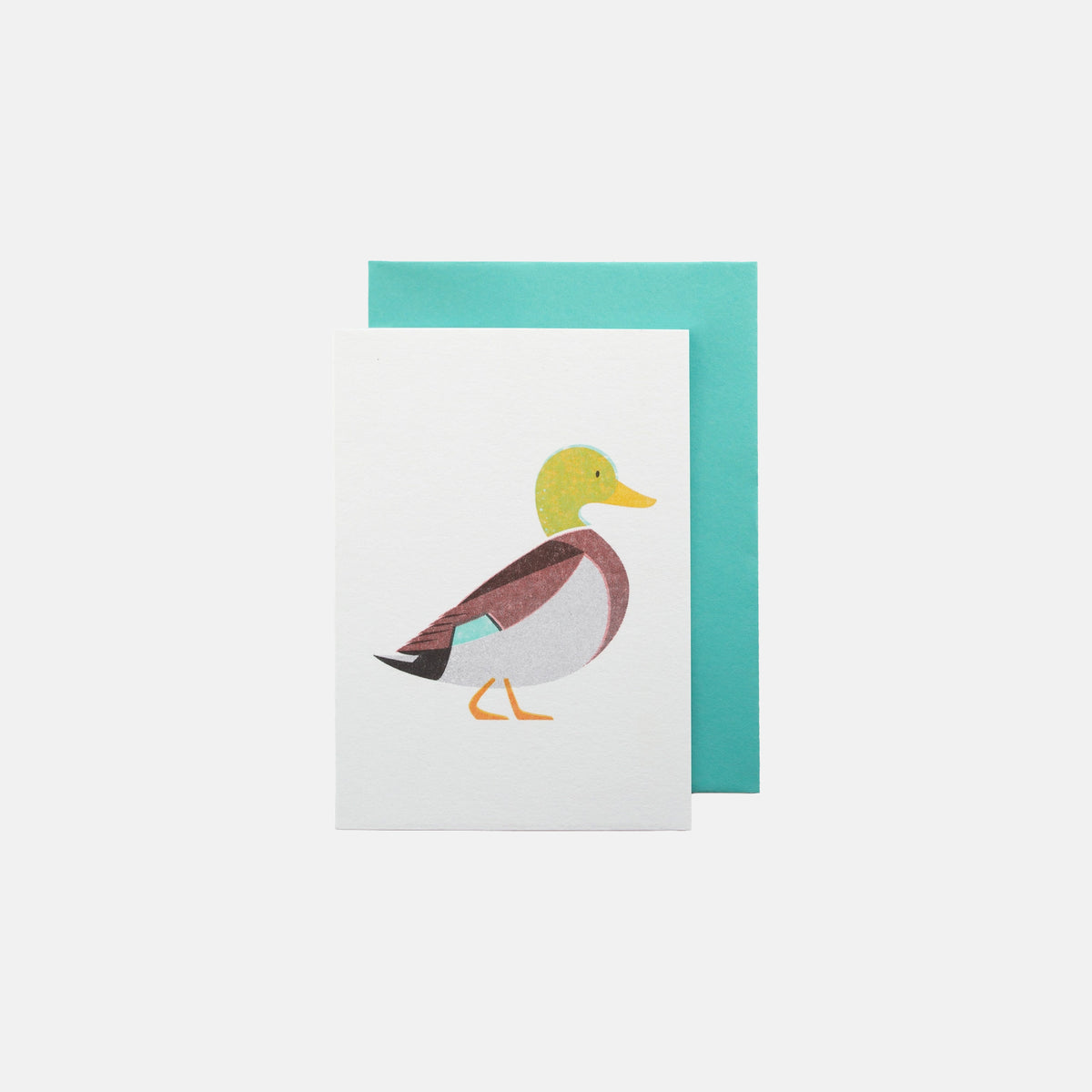 Mallard Duck - Bobbie Print Card