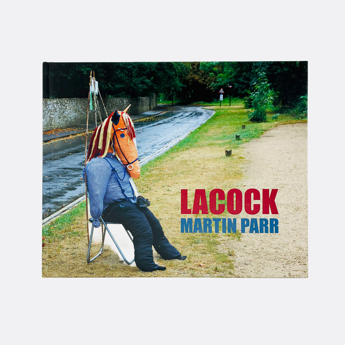 Martin Parr - Lacock