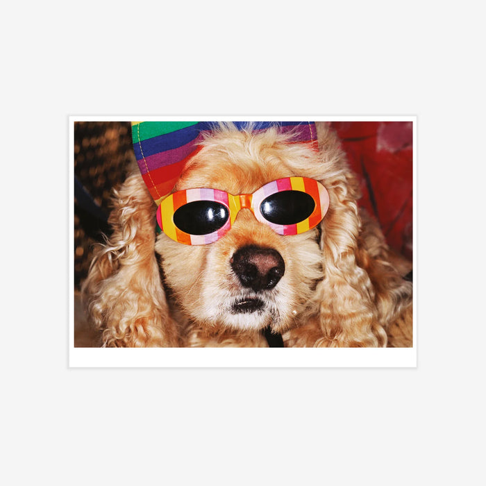 Martin Parr - Venice Beach