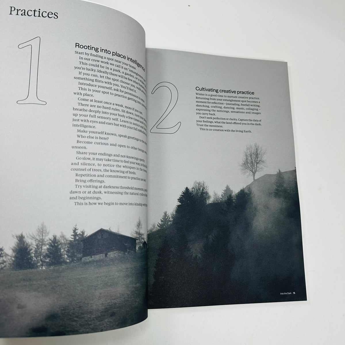 Meander #2 - Rest & Renewal