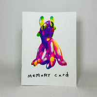 Memory Card by Sam Bailey