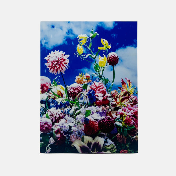 Mika Ninagawa – Eternity in a Moment #1
