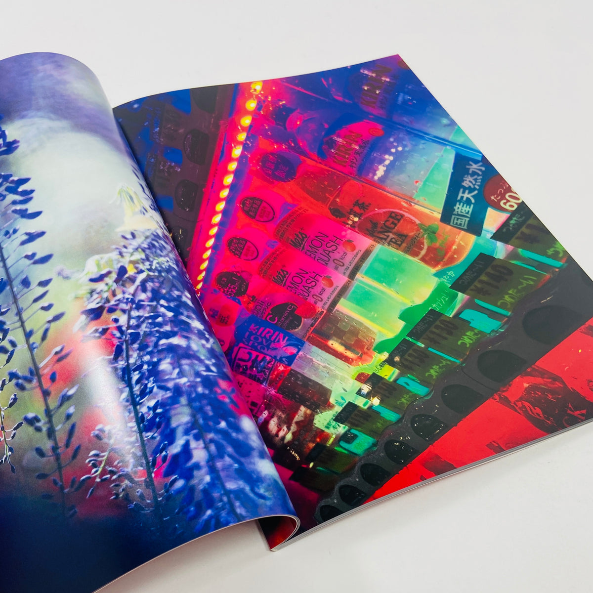 Mika Ninagawa – Eternity in a Moment #2