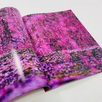 Mika Ninagawa – Eternity in a Moment #2