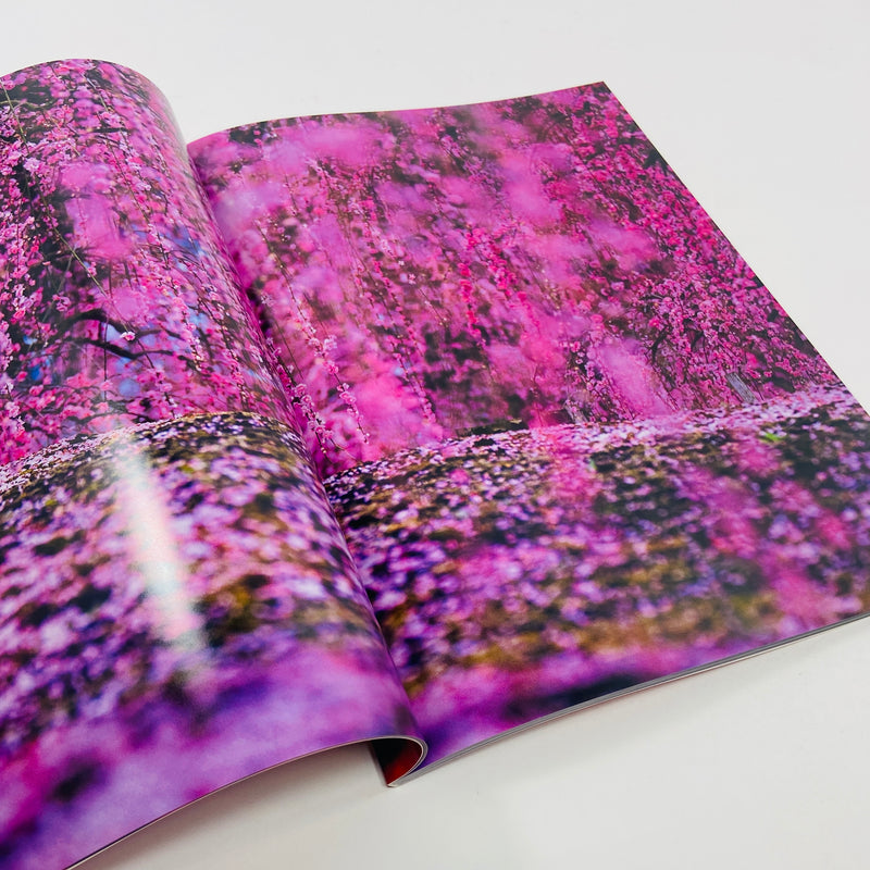 Mika Ninagawa – Eternity in a Moment #2