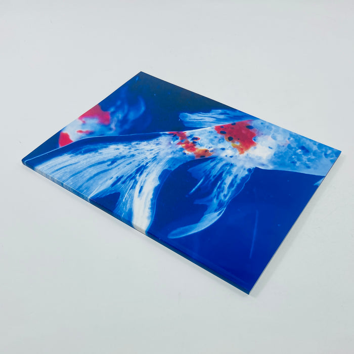 Mika Ninagawa – Eternity in a Moment #3