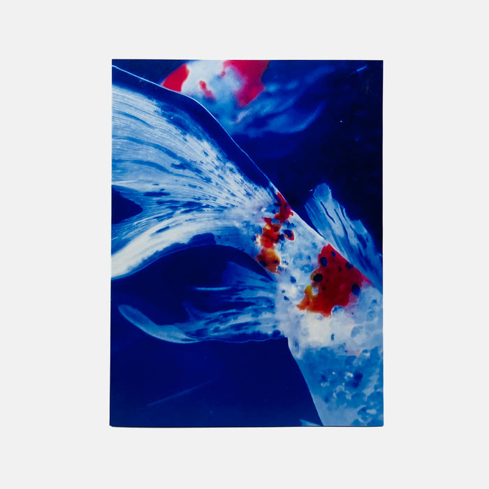 Mika Ninagawa – Eternity in a Moment #3