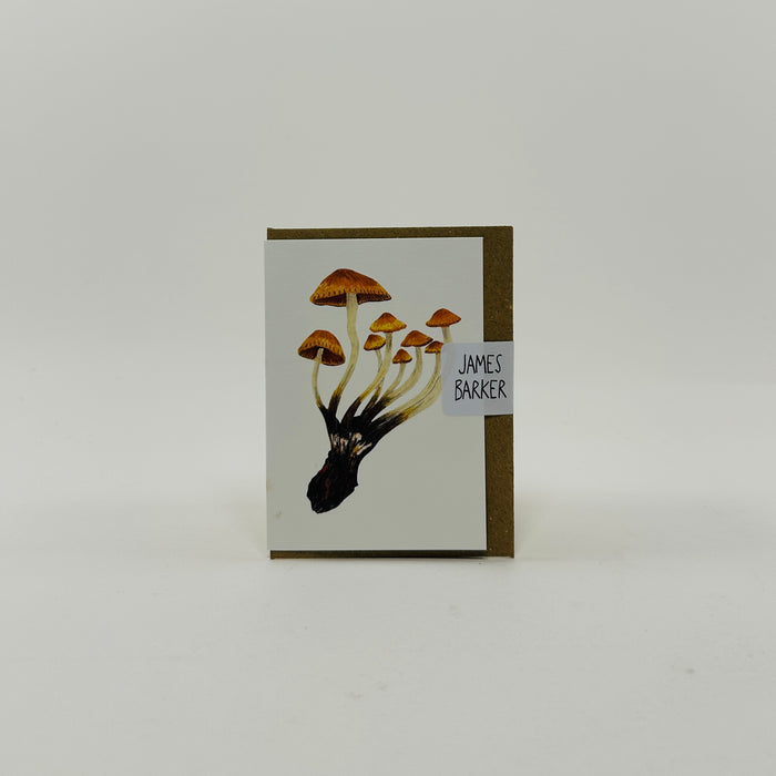 Mini Chestnut Mushrooms - James Barker Card