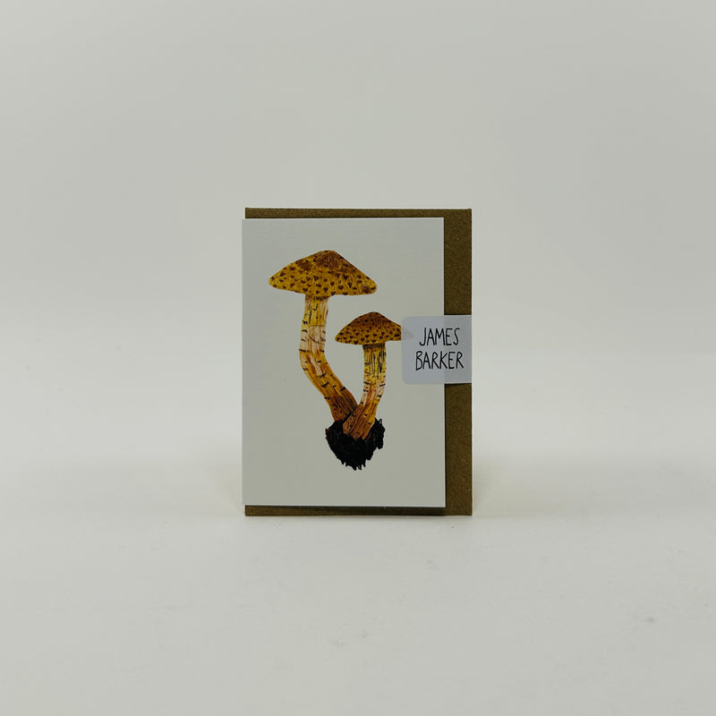Mini Scalycap Mushroom - James Barker Card
