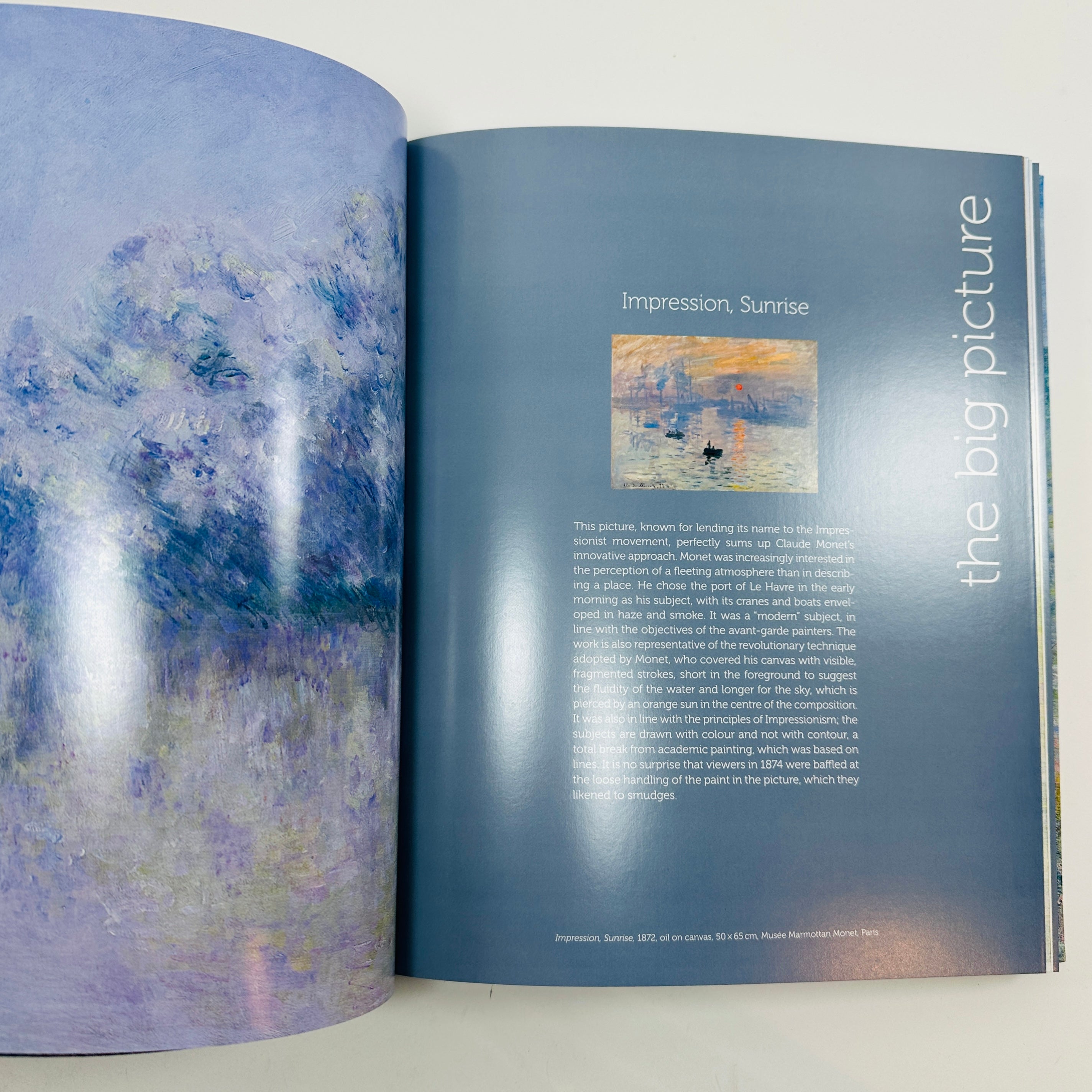 Monet - The Bigger Picture – UNITOM