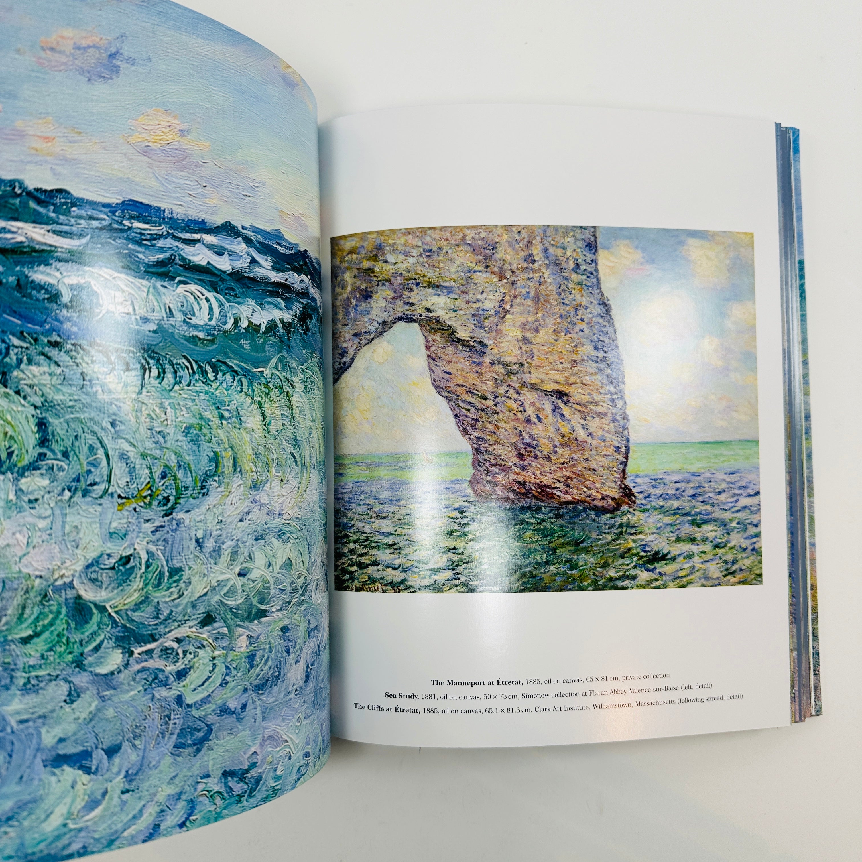 【ほぼ新品】Monet: The Bigger Picture Monet: The Bigger Picture | National Gallery Shop