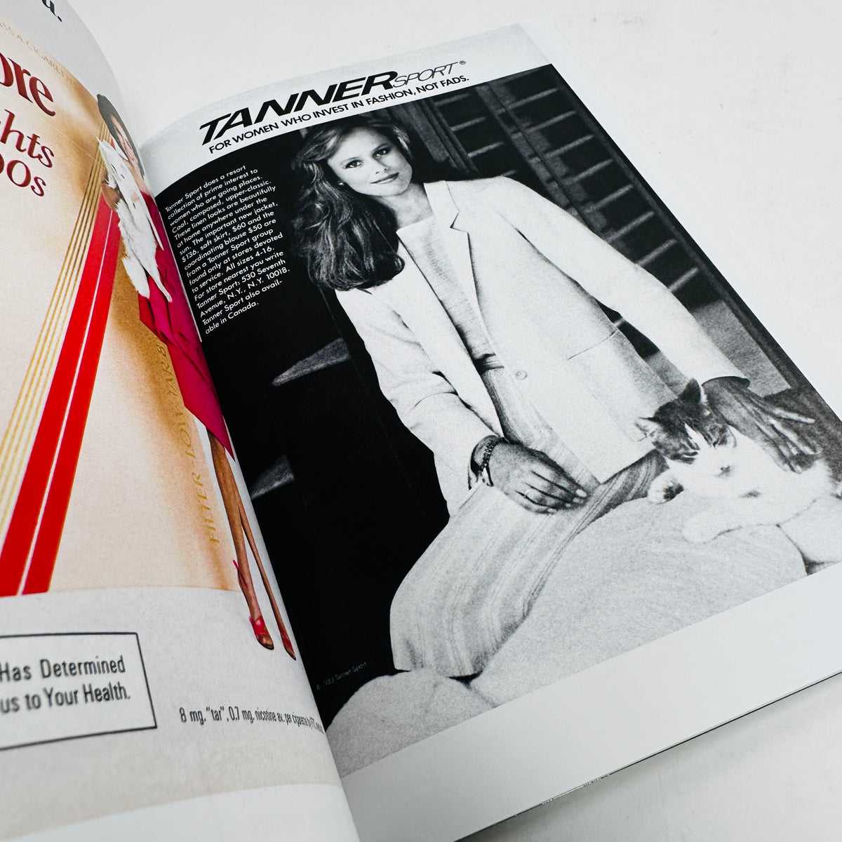 More Than Cat Food - Alberto Vieceli