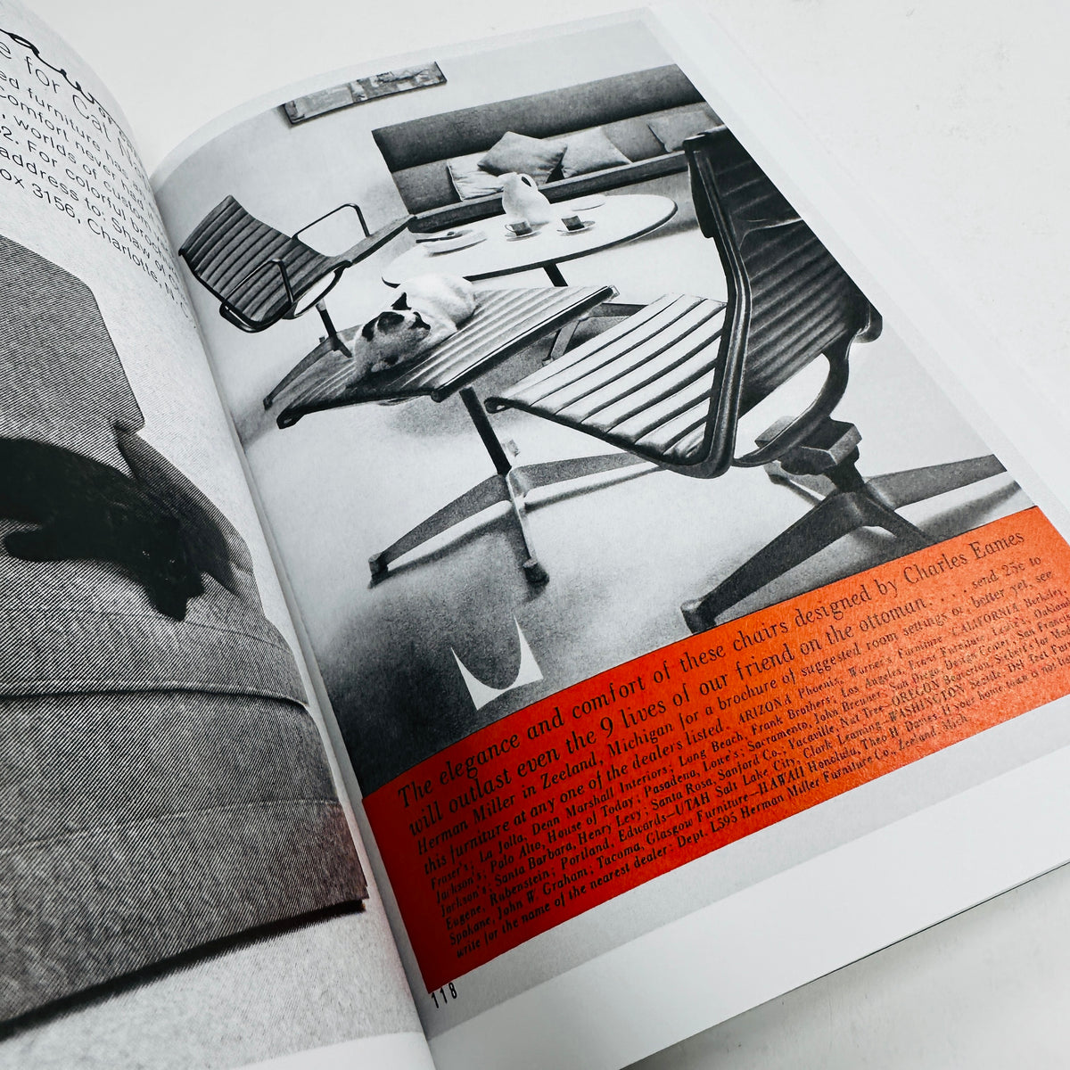 More Than Cat Food - Alberto Vieceli