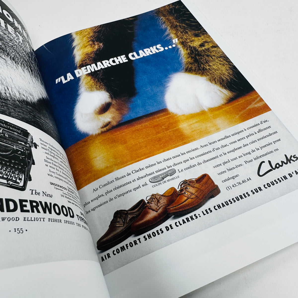 More Than Cat Food - Alberto Vieceli