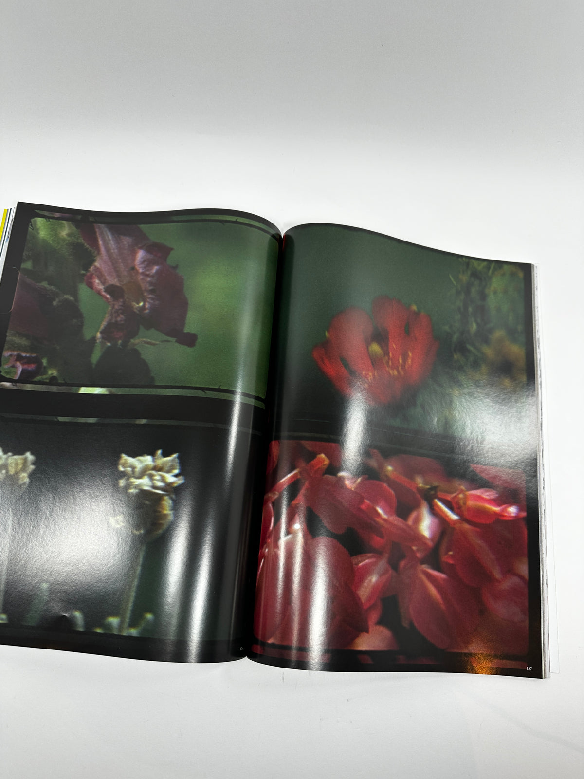 Mousse #94 - Winter 2026