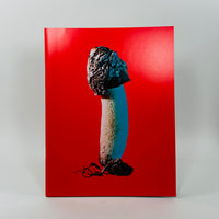 Mushroom Friends #3 - Phyllis Ma