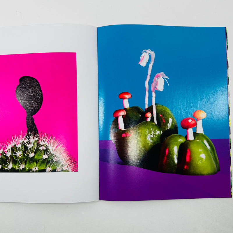 Mushroom Friends #3 - Phyllis Ma