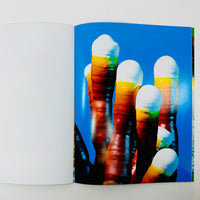 Mushroom Friends #4 - Phyllis Ma