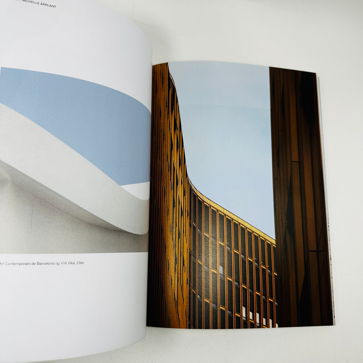 NYTT ROM #110 - The Looking Back Looking Forward Issue