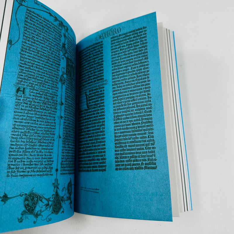 New New Typography - Adventures in Transborder Typography