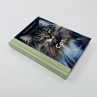 New Photography of the Cat