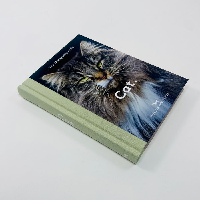 New Photography of the Cat