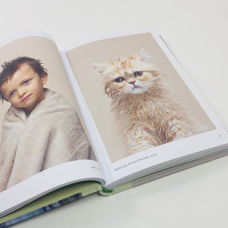 New Photography of the Cat