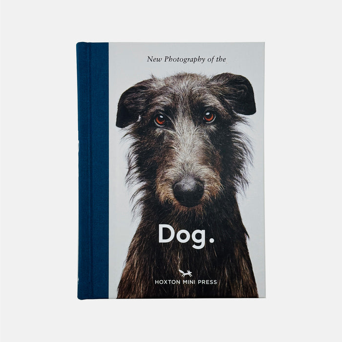 New Photography of the Dog