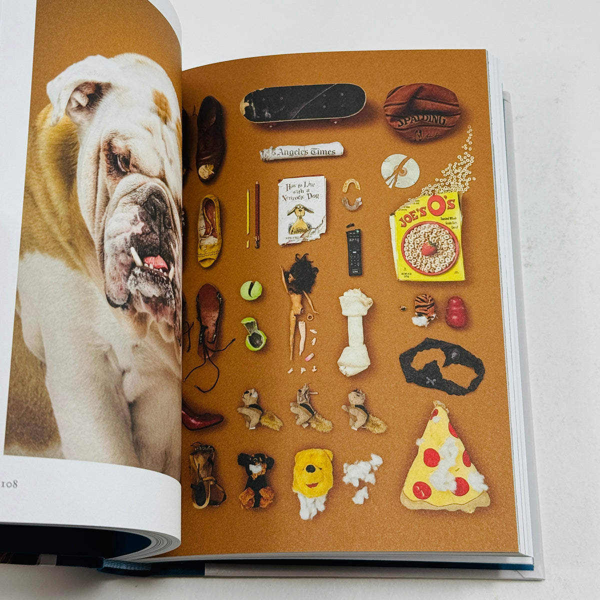 New Photography of the Dog