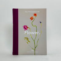 New Photography of the Flower