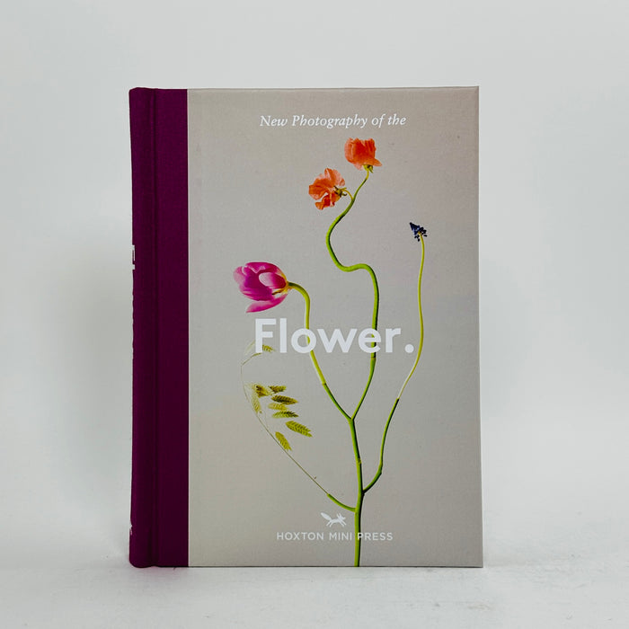 New Photography of the Flower