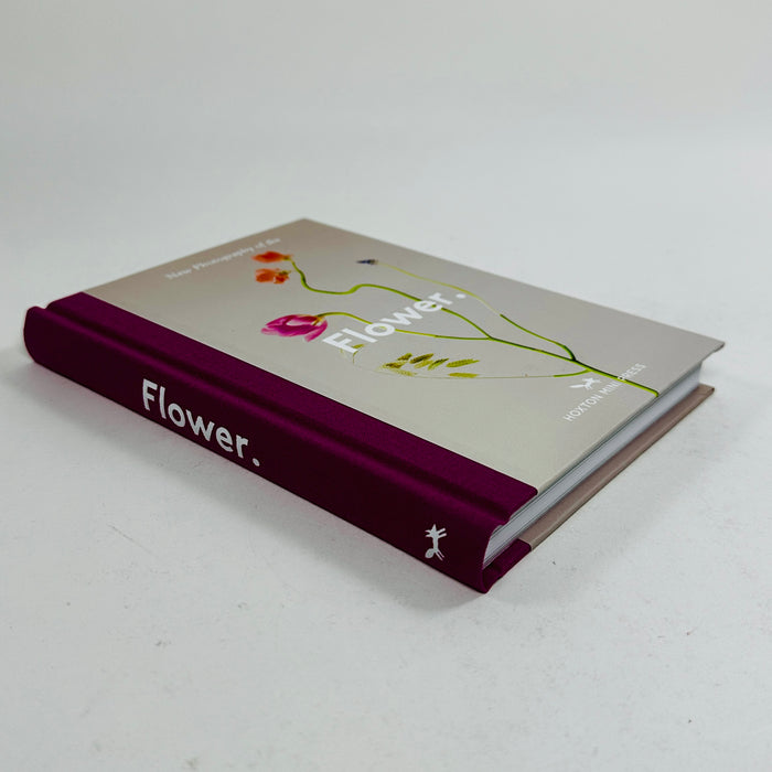 New Photography of the Flower