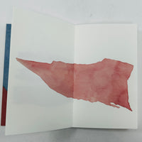 Nigel Peake - As If It Is