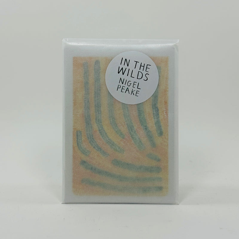 In the Wild Postcard Set - Nigel Peake