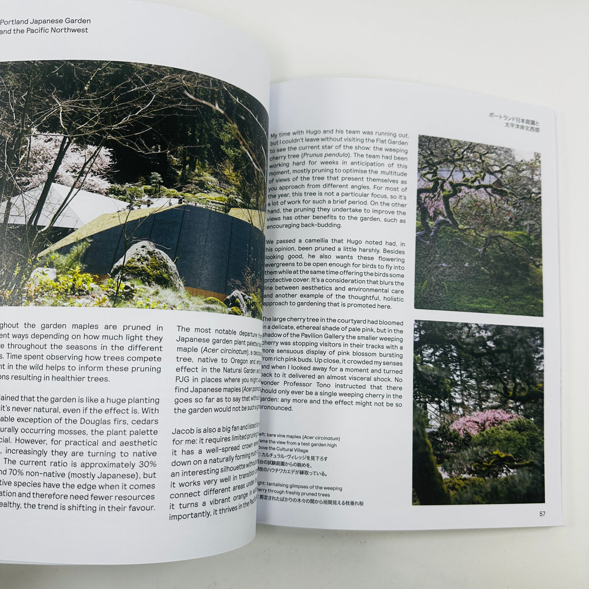 Niwaki Field Report #2