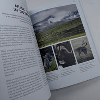 Norway - The Extraordinary Guide