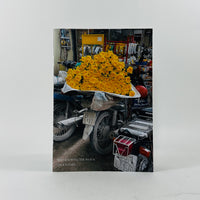 Not Knowing The Plural - Jack Rainey