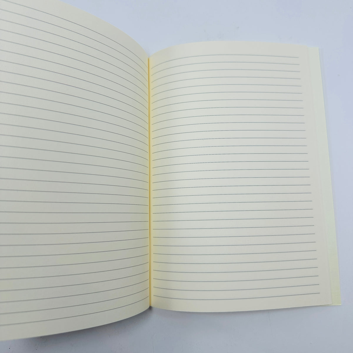 A Hundred Famous Views of Edo Notebook