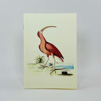 Collection of Various Birds Notebook