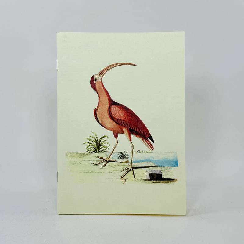 Collection of Various Birds Notebook