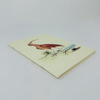 Collection of Various Birds Notebook