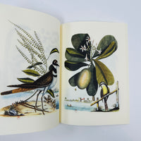 Collection of Various Birds Notebook