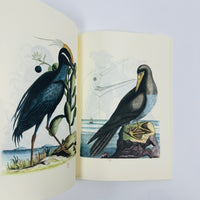 Collection of Various Birds Notebook