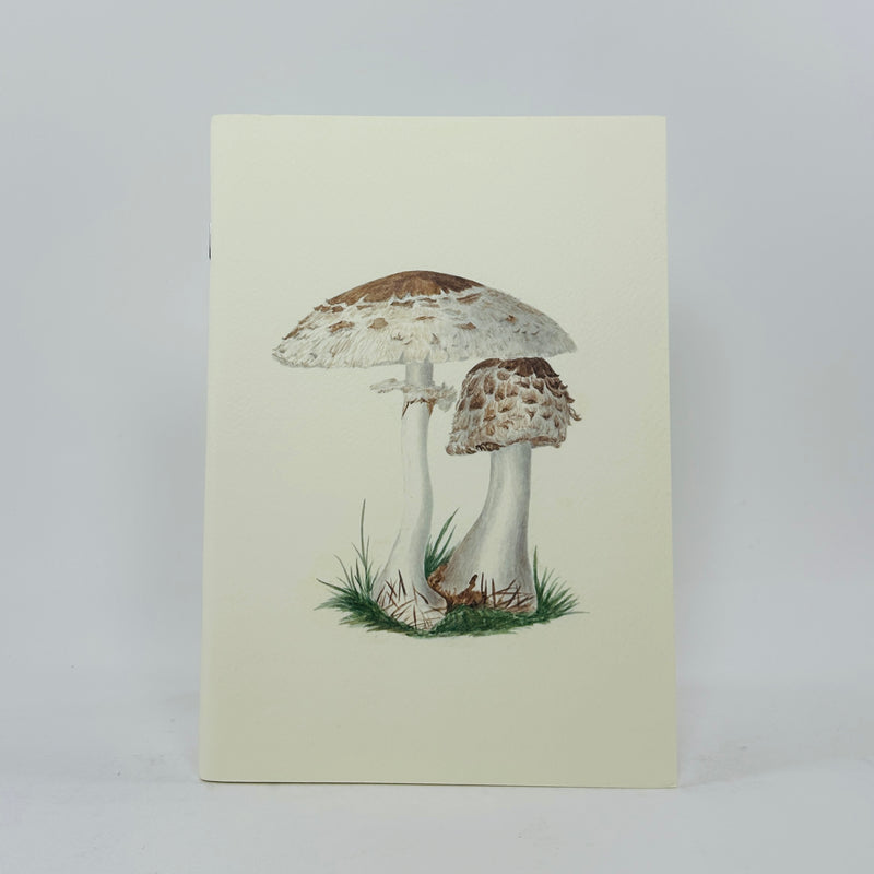 Fungi from the Midlands Notebook