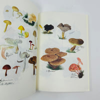 Fungi from the Midlands Notebook