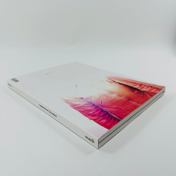 Notebook #7 - Threshold Of The Visible