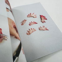 Offcuts - Head
