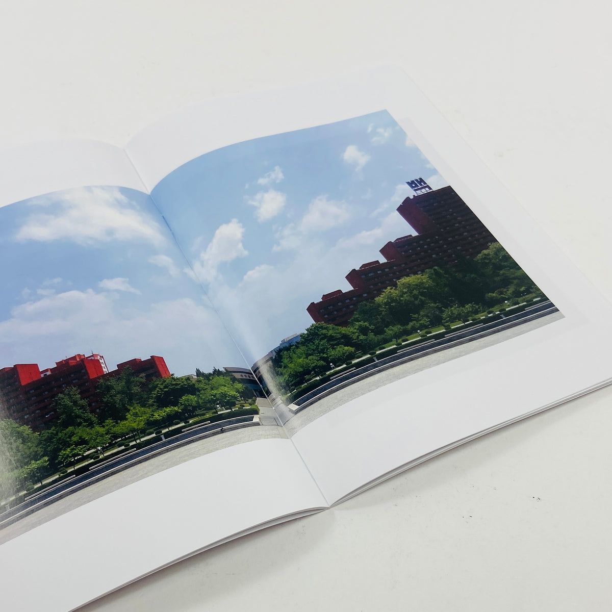 One View - North Korea - Kasim Deen
