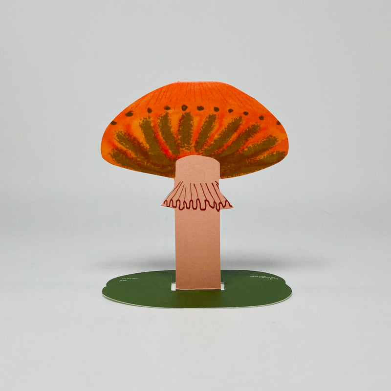 Orange Frilly Mushroom Stand-Up Card - Hadley Card