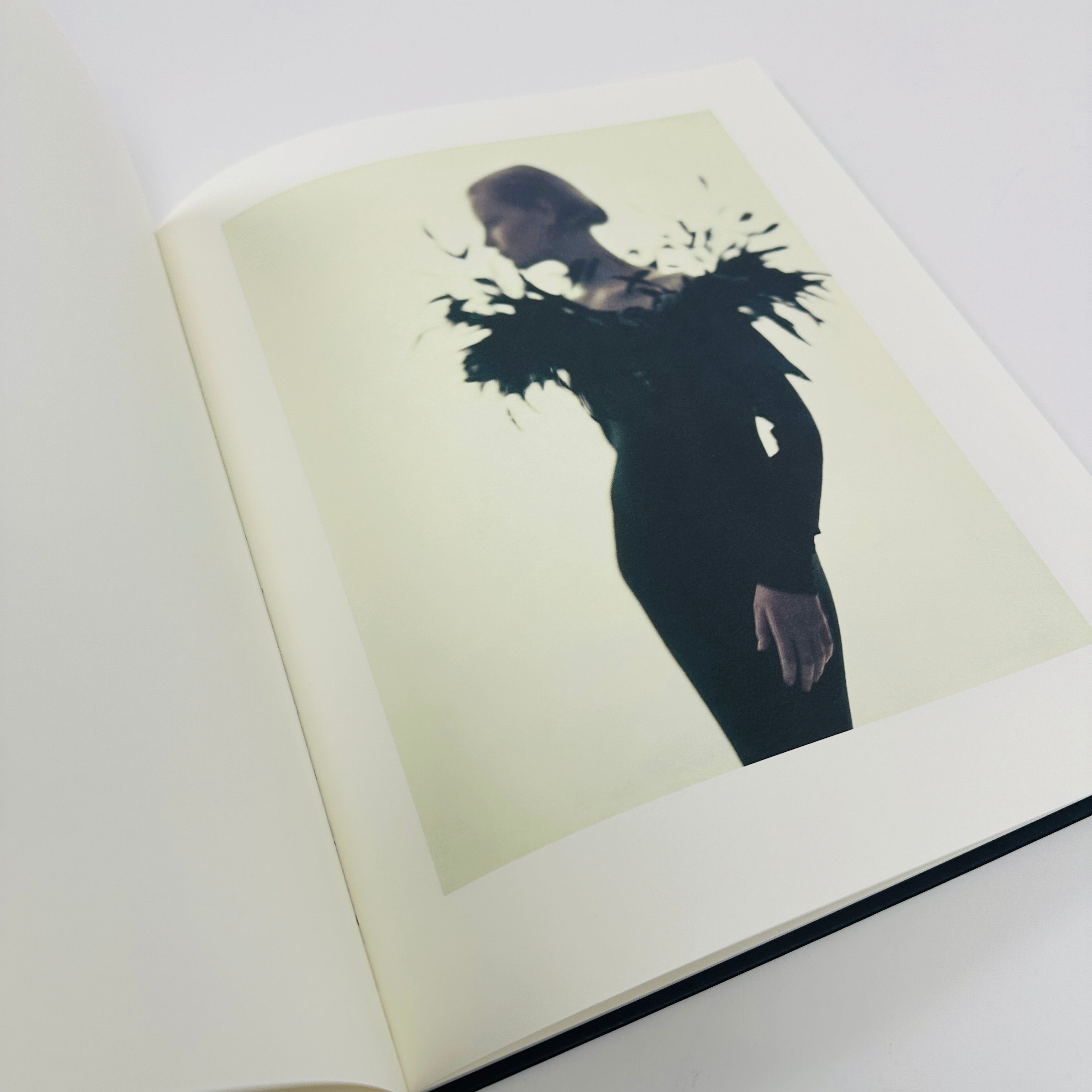 Paolo Roversi – UNITOM